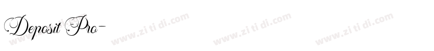 Deposit Pro字体转换